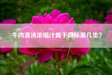 牛肉清汤浓缩汁属于商标第几类? 牛肉清汤浓缩汁属于商标第几类?