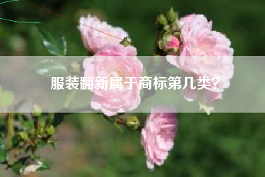 服装翻新属于商标第几类? 服装翻新属于商标第几类?