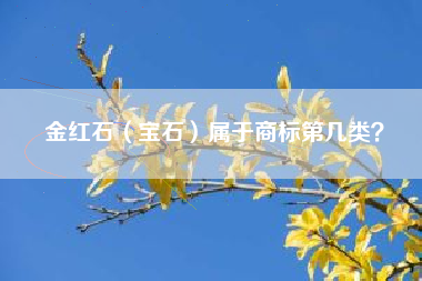 金红石(宝石)属于商标第几类? 金红石(宝石)属于商标第几类?