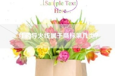 炸药导火线属于商标第几类? 炸药导火线属于商标第几类?