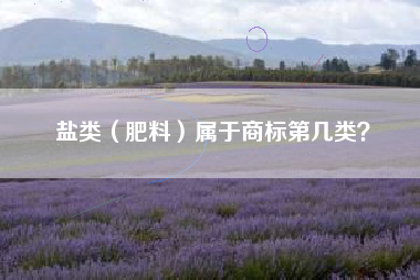 盐类(肥料)属于商标第几类? 盐类(肥料)属于商标第几类?