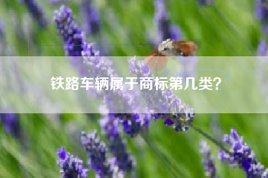 铁路车辆属于商标第几类? 铁路车辆属于商标第几类?