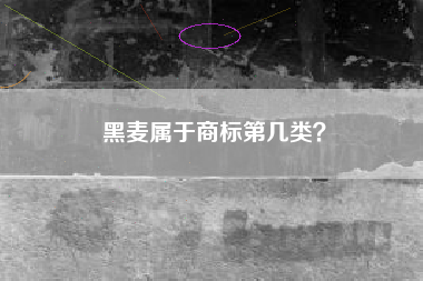 黑麦属于商标第几类? 黑麦属于商标第几类?
