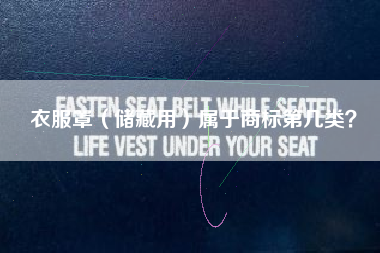 衣服罩(储藏用)属于商标第几类? 衣服罩(储藏用)属于商标第几类?