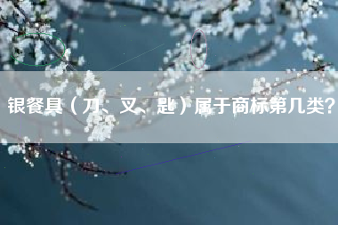 银餐具(刀、叉、匙)属于商标第几类? 银餐具(刀、叉、匙)属于商标第几类?