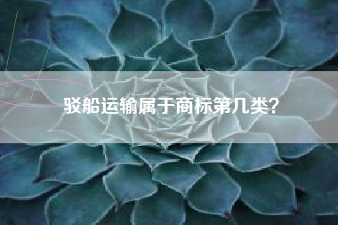 驳船运输属于商标第几类? 驳船运输属于商标第几类?
