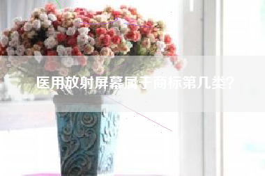 医用放射屏幕属于商标第几类? 医用放射屏幕属于商标第几类?