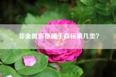 非金属窗框属于商标第几类? 非金属窗框属于商标第几类?