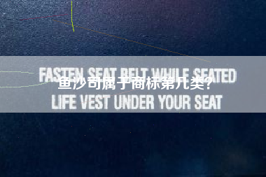 鱼沙司属于商标第几类? 鱼沙司属于商标第几类?