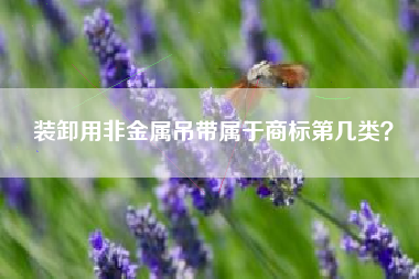 装卸用非金属吊带属于商标第几类? 装卸用非金属吊带属于商标第几类?