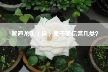 管道龙头(栓)属于商标第几类? 管道龙头(栓)属于商标第几类?