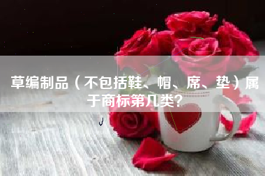 草编制品(不包括鞋、帽、席、垫)属于商标第几类? 草编制品(不包括鞋、帽、席、垫)属于商标第几类?