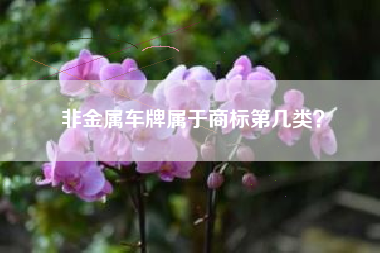 非金属车牌属于商标第几类? 非金属车牌属于商标第几类?