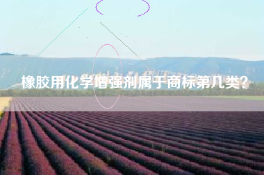 橡胶用化学增强剂属于商标第几类? 橡胶用化学增强剂属于商标第几类?