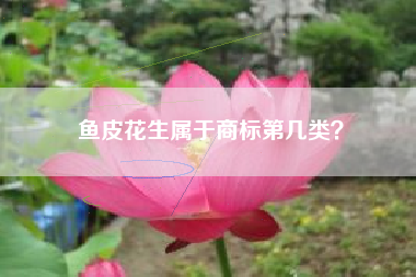 鱼皮花生属于商标第几类? 鱼皮花生属于商标第几类?