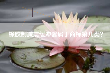 橡胶制减震缓冲器属于商标第几类? 橡胶制减震缓冲器属于商标第几类?