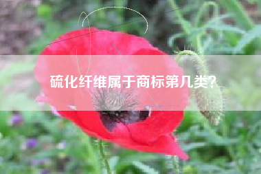 硫化纤维属于商标第几类? 硫化纤维属于商标第几类?