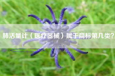 肺活量计(医疗器械)属于商标第几类? 肺活量计(医疗器械)属于商标第几类?