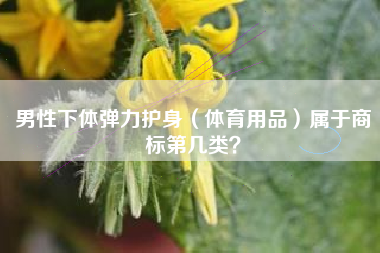 男性下体弹力护身(体育用品)属于商标第几类? 男性下体弹力护身(体育用品)属于商标第几类?