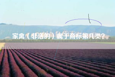 家禽(非活的)属于商标第几类? 家禽(非活的)属于商标第几类?