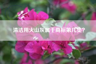 清洁用火山灰属于商标第几类? 清洁用火山灰属于商标第几类?