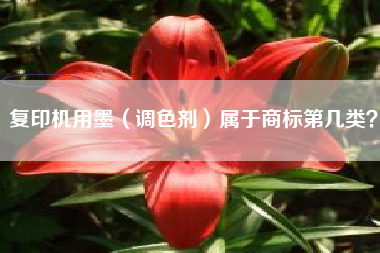 复印机用墨(调色剂)属于商标第几类? 复印机用墨(调色剂)属于商标第几类?