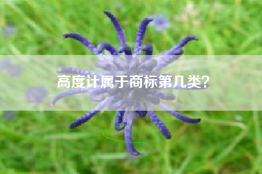 高度计属于商标第几类? 高度计属于商标第几类?