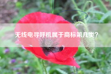 无线电寻呼机属于商标第几类? 无线电寻呼机属于商标第几类?