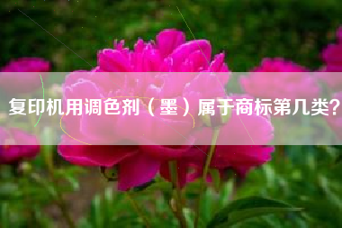 复印机用调色剂(墨)属于商标第几类? 复印机用调色剂(墨)属于商标第几类?