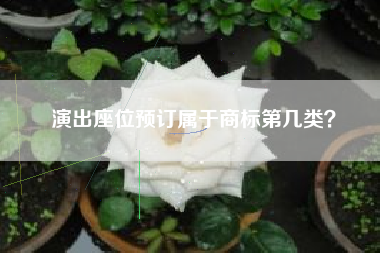 演出座位预订属于商标第几类? 演出座位预订属于商标第几类?