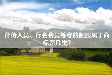 仆侍人员、行会会员等穿的制服属于商标第几类? 仆侍人员、行会会员等穿的制服属于商标第几类?