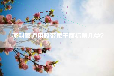 密封管道用胶带属于商标第几类? 密封管道用胶带属于商标第几类?