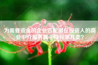 为需要资金的企业匹配潜在投资人的商业中介服务属于商标第几类? 为需要资金的企业匹配潜在投资人的商业中介服务属于商标第几类?