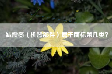 减震器(机器部件)属于商标第几类? 减震器(机器部件)属于商标第几类?