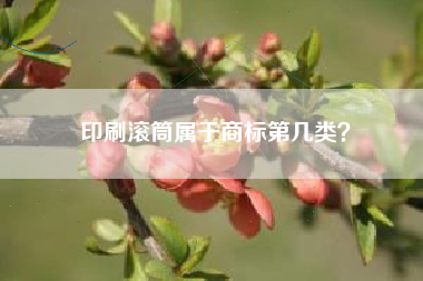 印刷滚筒属于商标第几类? 印刷滚筒属于商标第几类?