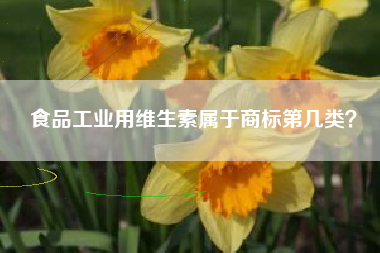 食品工业用维生素属于商标第几类? 食品工业用维生素属于商标第几类?