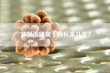 油酥面团属于商标第几类? 油酥面团属于商标第几类?
