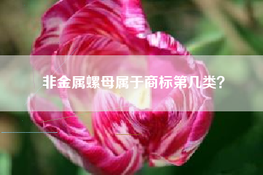 非金属螺母属于商标第几类? 非金属螺母属于商标第几类?