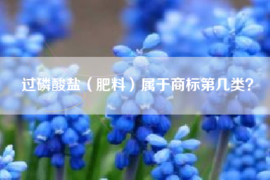 过磷酸盐(肥料)属于商标第几类? 过磷酸盐(肥料)属于商标第几类?