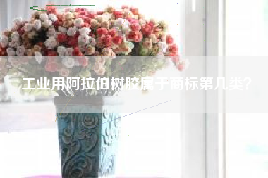 工业用阿拉伯树胶属于商标第几类? 工业用阿拉伯树胶属于商标第几类?