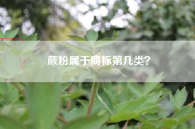 蕨粉属于商标第几类? 蕨粉属于商标第几类?