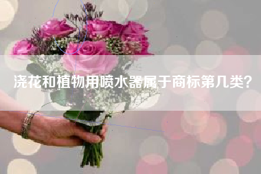 浇花和植物用喷水器属于商标第几类? 浇花和植物用喷水器属于商标第几类?