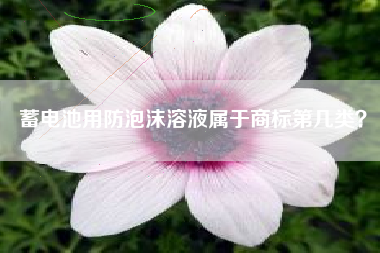 蓄电池用防泡沫溶液属于商标第几类? 蓄电池用防泡沫溶液属于商标第几类?