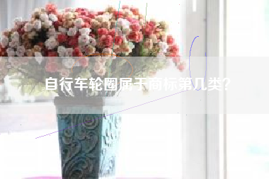 自行车轮圈属于商标第几类? 自行车轮圈属于商标第几类?