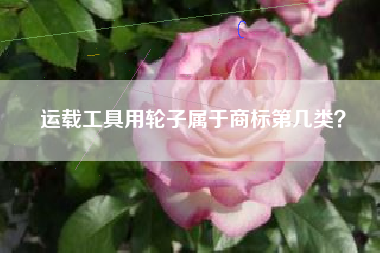 运载工具用轮子属于商标第几类? 运载工具用轮子属于商标第几类?