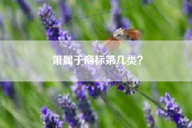 箫属于商标第几类？