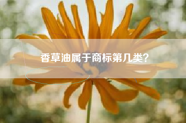 香草油属于商标第几类? 香草油属于商标第几类?