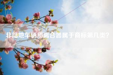 非陆地车辆用离合器属于商标第几类? 非陆地车辆用离合器属于商标第几类?