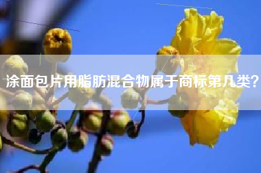 涂面包片用脂肪混合物属于商标第几类？