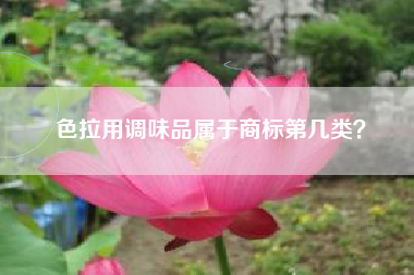 色拉用调味品属于商标第几类? 色拉用调味品属于商标第几类?